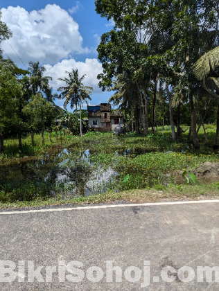 রাস্তার পাশে জমি বিক্রয় করা হবে